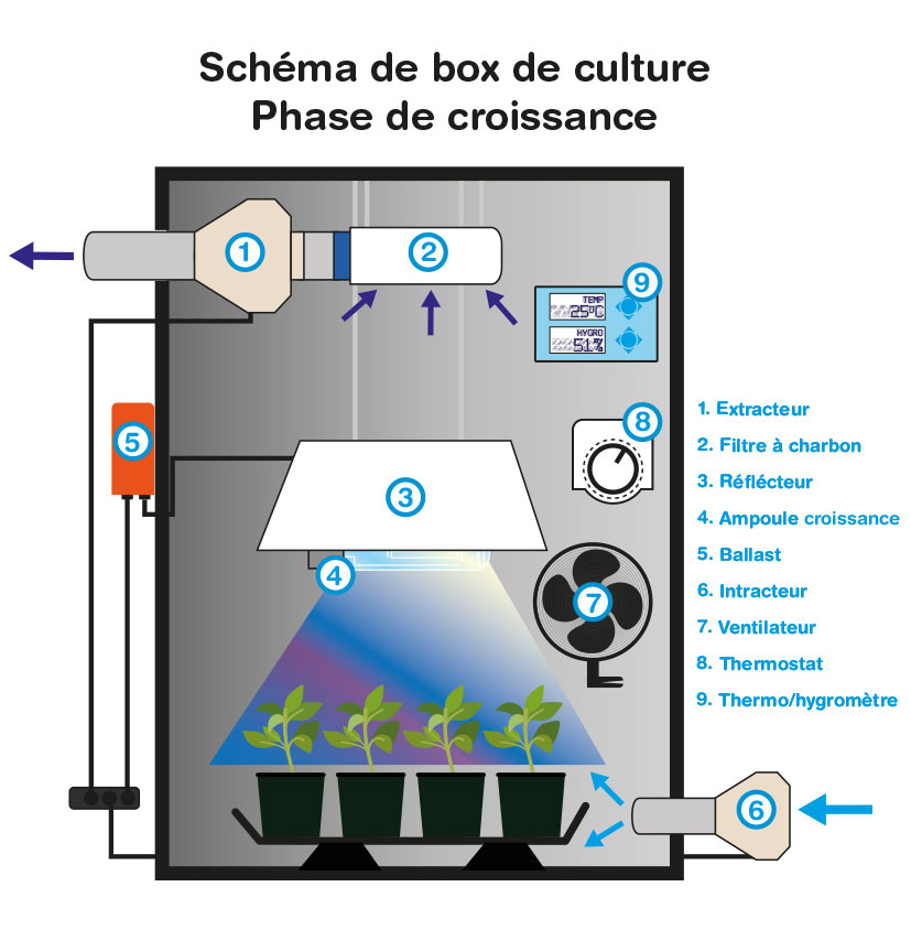 Schema-ChambreCroissance.jpg