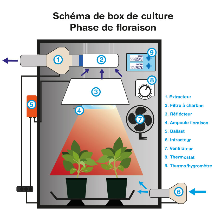 SUPACROP - Kit Box Culture Indoor avec Lampe HPS Classe 2 +  Ventilation, Starter Pack Chambre de Culture Prêt-à-Brancher