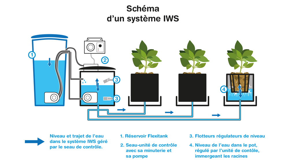 Schema d'un systeme IWS