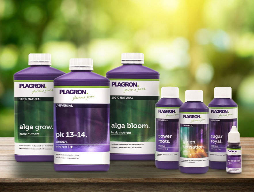 The famous Dutch brand of quality fertilizers: PLAGRON